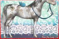 Horse Color:White Spotted Liver Red Dun Ice Mushroom Brindle