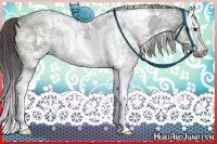 Horse Color:White Spotted Smoky Grullo Ice 