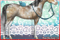 Horse Color:White Spotted Buckskin Ice Dun Splash Rabicano Brindle 