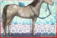 Horse Color:White Spotted Grullo Pearl 