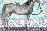Horse Color:White Spotted Brown Ice Dun Mushroom Sabino Splash Brindle