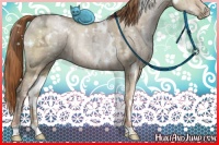 Horse Color:White Spotted Buckskin Ice Pearl Dun Rabicano Brindle