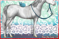 Horse Color:Gray White Spotted Grullo Pearl Mushroom Rabicano Brindle 