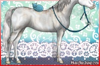 Horse Color:White Spotted Silver Brown Pearl Dun Sabino Splash Rabicano Brindle 