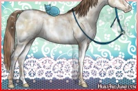 Horse Color:White Spotted Liver Red Dun Pearl Sabino Splash Brindle 
