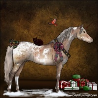 Horse Color:White Spotted Silver Brown Ice Dun Rabicano Brindle 