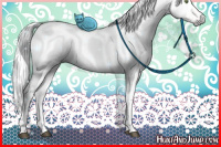 Horse Color:Gray Liver Red Dun Ice Tobiano Appaloosa Rabicano 