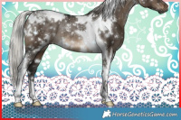 Horse Color:Gray White Spotted Silver Brown Dun Mushroom Tobiano Rabicano Brindle