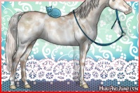 Horse Color:White Spotted Silver Brown Pearl Dun Sabino Splash Brindle 