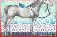Horse Color:White Spotted Silver Brown Ice Dun Mushroom Splash Rabicano 