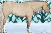 Horse Color:Silver Smoky Grullo Roan Rabicano 