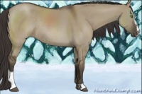 Horse Color:Smoky Grullo Sabino Rabicano 