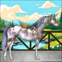 Horse Color:Painted Plaid  White Spotted Liver Red Onyx Rabicano 