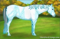 Horse Color:Thunderstruck White Spotted Black Splash 