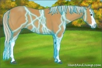 Horse Color:Thunderstruck Palomino Splash