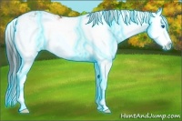 Horse Color:Thunderstruck Buckskin Sabino Splash 