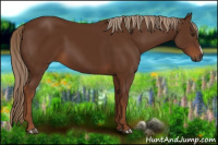 Horse Color:Gray Chestnut 