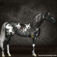 Horse Color:White Spotted Liver Chestnut Ice Mushroom Rabicano 