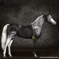 Horse Color:White Spotted Liver Chestnut Ice Mushroom 