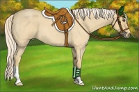 Horse Color:Palomino Roan 