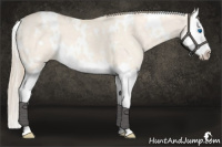 Horse Color:White Spotted Perlino Dun Splash 