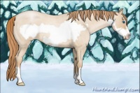 Horse Color:Smoky Blue Roan Pearl Frame Appaloosa 