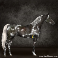 Horse Color:White Spotted Liver Chestnut Ice Mushroom 