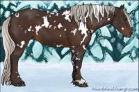 Horse Color:White Spotted Silver Brown 