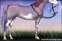 Horse Color:Watercolor Liver Red Dun Splash 
