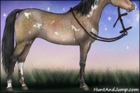 Horse Color:White Spotted Brown Dun Mushroom Sabino Rabicano 