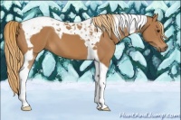 Horse Color:Chestnut Tobiano