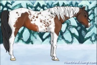 Horse Color:Bay Tobiano 