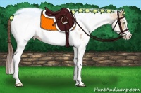 Horse Color:White Spotted Sable Cream Champagne Ice Near Leopard 