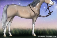 Horse Color:Watercolor Brown Dun Splash 