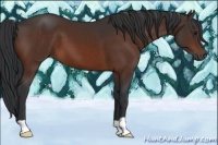 Horse Color:Brown 
