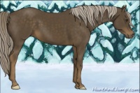 Horse Color:Chocolate Palomino 