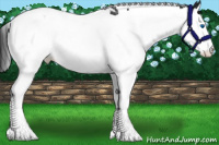 Horse Color:Black Splash Tobiano Varnish 