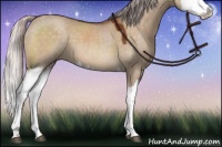 Horse Color:Chocolate Silver Brown Dun Splash 