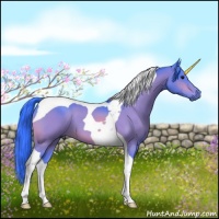 Horse Color:Platinum Watercolor Bay Tobiano 