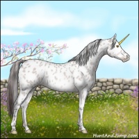 Horse Color:Platinum Amber Champagne Appaloosa 