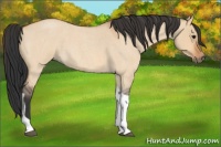 Horse Color:Bay Roan Dun Tobiano
