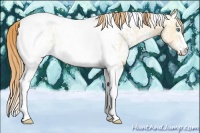 Horse Color:White Spotted Smoky Grullo Pearl Tobiano Rabicano 