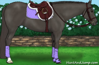 Horse Color:Smoky Black 