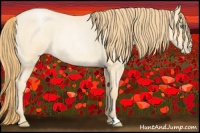 Horse Color:Smoky Blue Roan Pearl Rabicano 