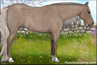 Horse Color:Silver Blue Roan Rabicano 
