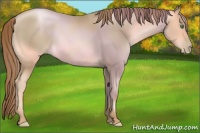 Horse Color:Smoky Black Pearl 