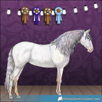 Horse Color:Palomino Ice Roan Pearl and Nacre Watercolor Palomino Ice Roan Pearl