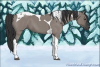 Horse Color:Grullo Roan Tobiano