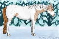 Horse Color:Chestnut Ice Tobiano Frame Appaloosa 
