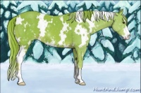 Horse Color:Watercolor White Spotted Chestnut Sabino 
